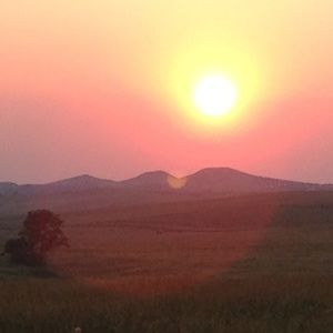 Meet your Posher, Jenny